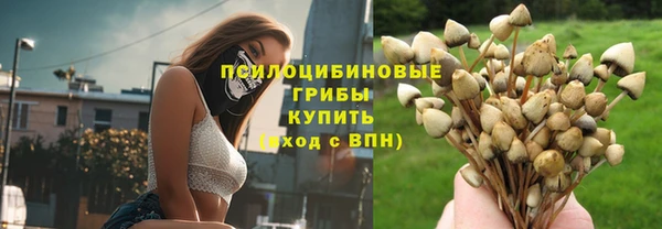 мяу мяу мука Алзамай