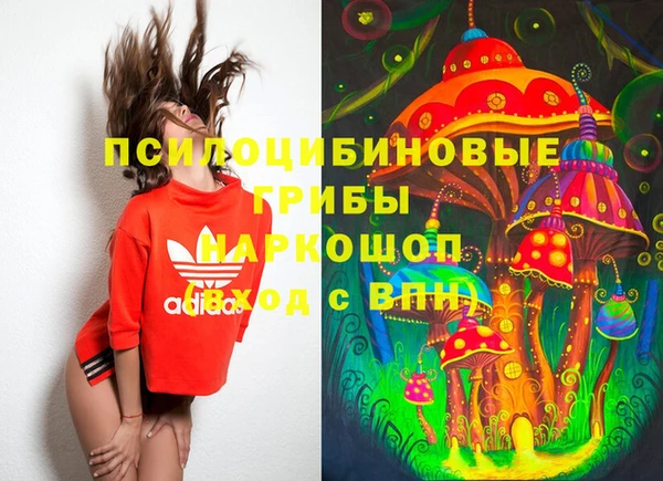 дурь Арсеньев