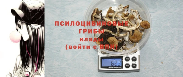 дурь Арсеньев